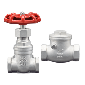 Gate Valve and Check Valves